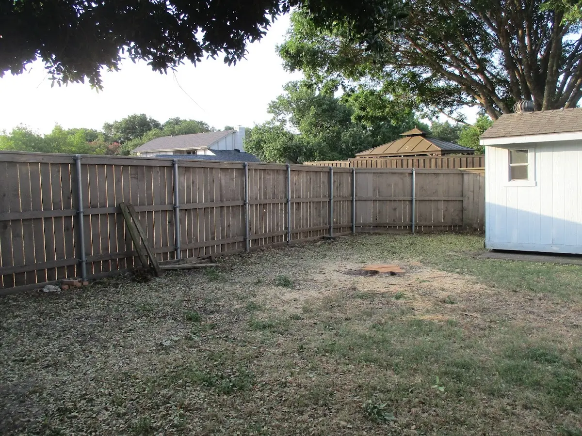 Cleared yard after professional tree removal in Elkhorn